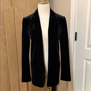Express Velvet Blazer - 27” Length